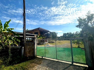 Houses for rent Chiang Mai : 2-story house with rice field views, 2 bedrooms, Rong Wua Daeng, San Kamphaeng, Chiang Mai.