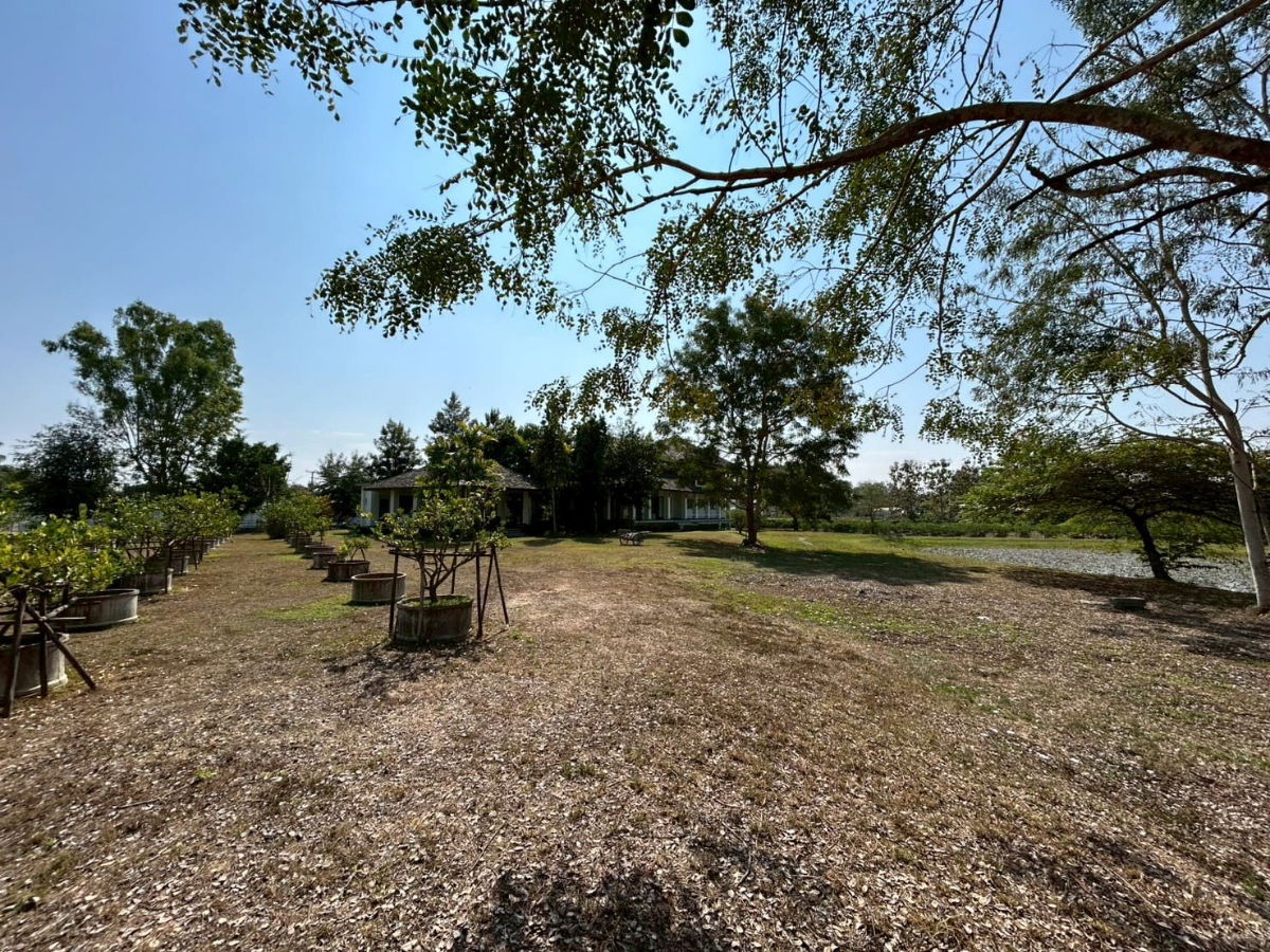 รูป 🏡 ขายบ้านหรูพร้อมที่ดิน 14 ไร่ ใกล้เมืองเชียงใหม่ ราคา 45 ล้านบาท | ฟรีค่าโอนทั้งหมด - รูปที่ 44/59