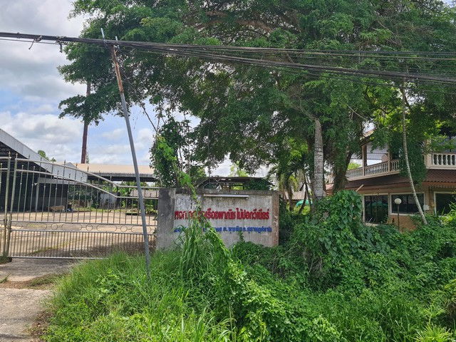 รูป K01258 ขายที่ดินพร้อมสิ่งปลูกสร้าง เลขที่ 24/3 - ตำบลหัวเตย อำเภอพุนพิน สุราษฎร์ธานี - รูปที่ 6/8