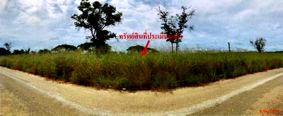 Land for sale Ammata City Industrial Estate : FOR SALE  LAND PROPERTY  1463000 BAHT.