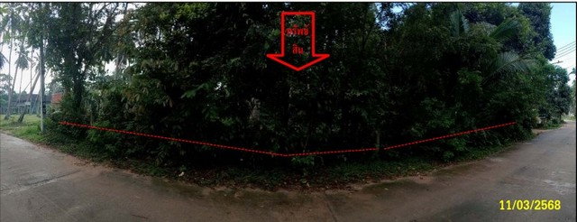 รูป K02380 ขายที่ดินเปล่า ตำบลอ่างทอง อำเภอเกาะสมุย สุราษฎร์ธานี - รูปที่ 2/8
