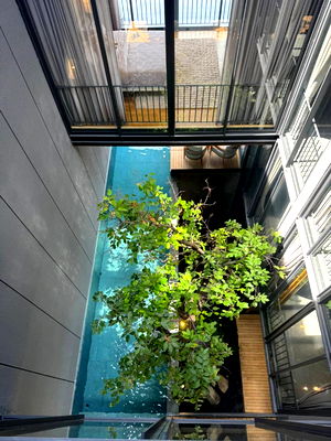 Houses for rent Phranakhon Rajabhat University : Luxury home for rent, designed by a renowned architect, from the Six Elements project, near Harrow International School