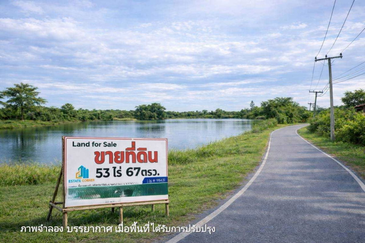 รูป ขายที่ดินแปลงใหญ่พร้อมบ่อน้ำ 53 ไร่ ติดถนน 3064 ต.โคกพุทรา อ.โพธิ์ทอง จ.อ่างทอง โฉนดพร้อมโอน เหมาะสำหรับ ทำฟาร์ม เกษตรกรรม - รูปที่ 4/10