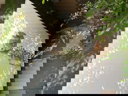 Project A Space Sukhumvit 77 Picture - 4/16