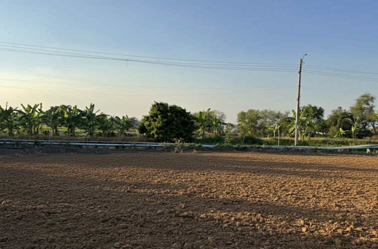 Land for sale, 200 sq wah, Suan Luang