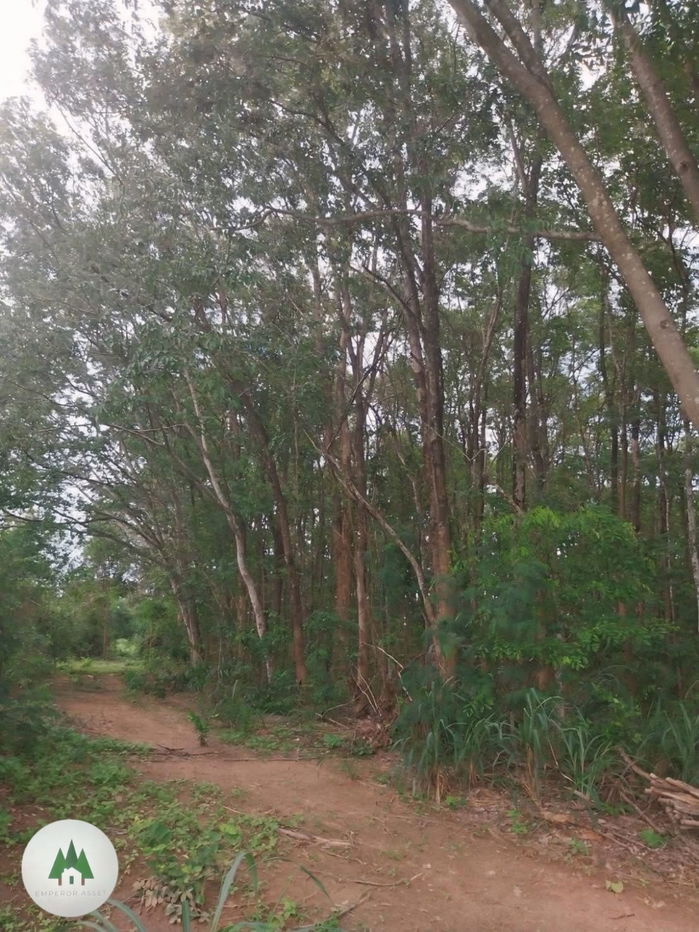 รูป ขายที่ดิน พร้อมไม้ประดู่ เนื้อที่ 27 ไร่ ราคาไร่ละ 270,000 บาท ต.ท่าเคย อ.สวนผึ้ง จ.ราชบุรี - รูปที่ 3/9