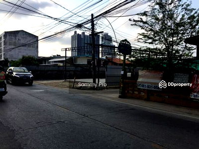 Houses for rent Bangna Commercial College : House for rent, suitable for business, office, Wat Dan Samrong