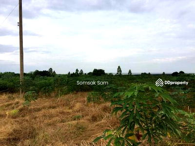 ที่ดิน สถาบันเทคโนโลยียานยนต์มหาชัย : ขายที่ดิน  เนื้อที่  18 ไร่ ใกล้วัดหนองบอน จ.ฉะเชิงเทรา  เหมาะสำหรับทำบ้านพัก  ทำไร่ ทำสวน หรือซื้อไว้เกร็งกำไร ฯลฯ 