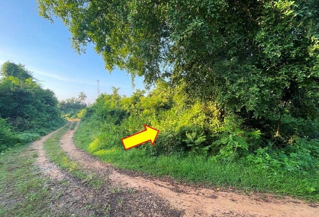 picture FOR SALE LAND PROPERTY 716000 BAHT. - 5/8