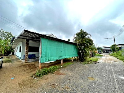 บ้านเดี่ยว สันป่าตอง เชียงใหม่ : F1-0656 ขายบ้านเดี่ยว หมู่ที่ 2 ถนนป่าลาน - บ้านดอนแก้ว แยกจากบ้านทุ่งเสี่ยว - บ้านเปียง ต. ทุ่งสะโตก อ.สันป่าตอง จ.เชียงใหม่