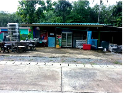 ที่ดิน คลองท่อม กระบี่ : K01663 ขายที่ดินพร้อมสิ่งปลูกสร้าง ตำบลคลองพน อำเภอคลองท่อม กระบี่