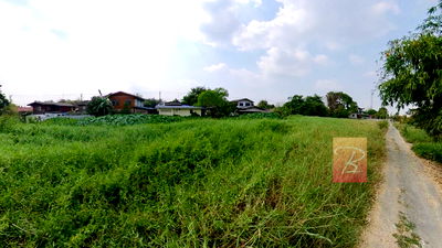 ที่ดิน เขตหนองจอก : ขายที่ดิน 1 ไร่ ซอยเลียบวารี 5 – หน้ากว้าง 70 เมตร ผังสีเหลือง ราคาดี ย่านหนองจอก ฟรีค่าโอน!