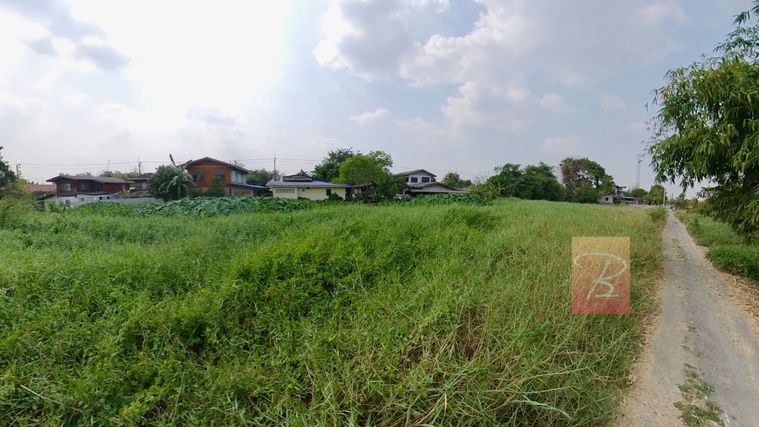 ขายที่ดิน 400 ตร.ว. เขตหนองจอก