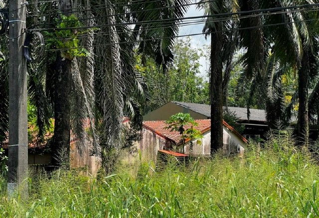 picture FOR SALE  LAND PROPERTY  9071000 BAHT. - 8/8