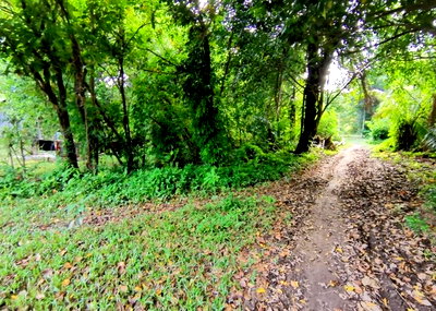 ขายที่ดิน : K00241 ขายที่ดิน ตำบลราไวย์ อำเภอเมืองภูเก็ต ภูเก็ต