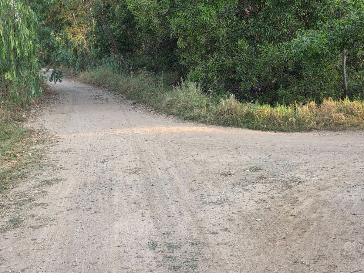 รูป ขายด่วนที่ดิน 18-2-84 ตร.ว. ตัวเมืองชัยภูมิ ทำเลดีเยี่ยม ลดจาก 25 เหลือ 17 ล้านบาท ลดไป 32% ถูกที่สุดในทำเลนี้ - รูปที่ 13/15