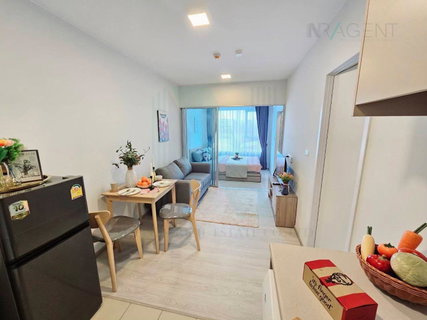 รูปภาพ For Rent Condo PLUM CONDO SUKHUMVIT 62 Building 1, Floor 4,1 bed room, Room size 30 sqm