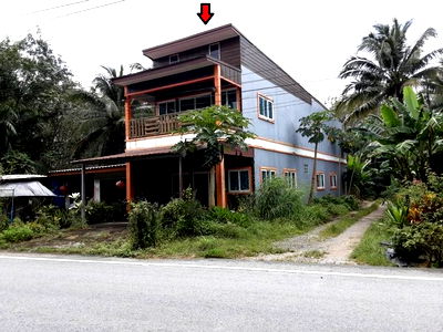 ที่ดิน คลองท่อม กระบี่ : K01793 ขายที่ดินพร้อมสิ่งปลูกสร้าง ตำบลคลองพน อำเภอคลองท่อม กระบี่