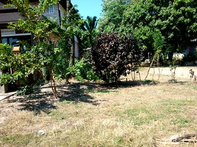 Land for sale Krabi : FOR SALE  LAND PROPERTY  1195000 BAHT.