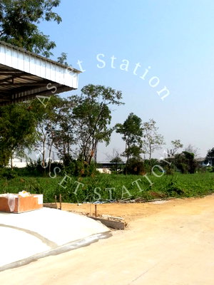 Land for sale Bang Yai Nonthaburi : 💎Beautiful land plot for sale, ideal for a warehouse - Bang Muang, Bang Yai area, Bang Bua Thong-Suphanburi Ring Road, located in Soi Wat Phra Ngern.