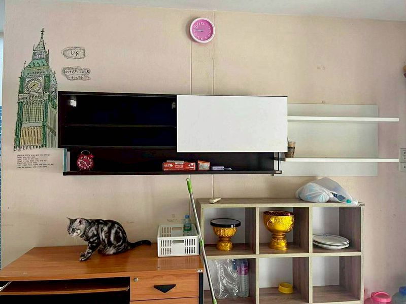 รูป 🏠🐶 คนเลี้ยงสัตว์หาบ้านเช่าอยู่ไหมคะ? 🎉 บ้านเดี่ยวชั้นเดียว “เลี้ยงสัตว์ได้จริง” ใจกลางระยอง - รูปที่ 8/12