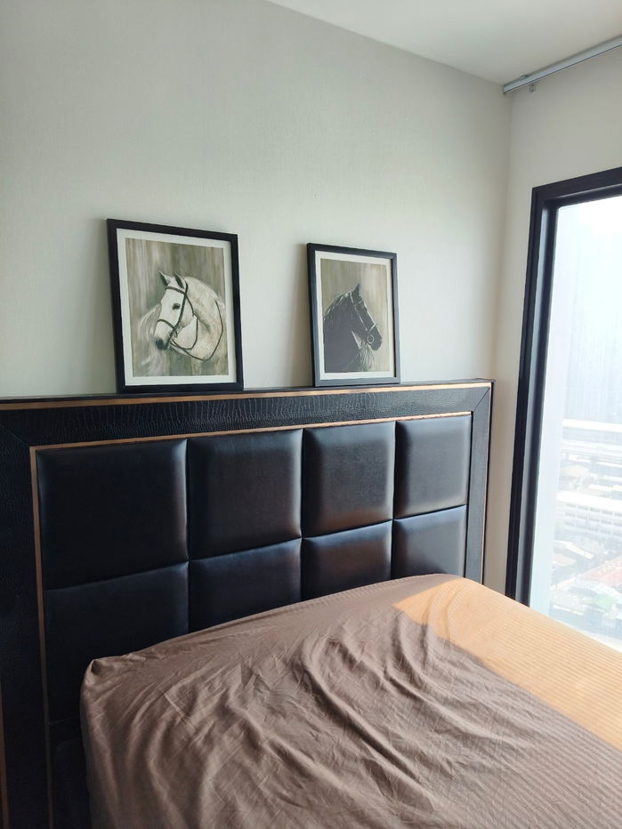 picture the politan rive condo for sale  - 8/21