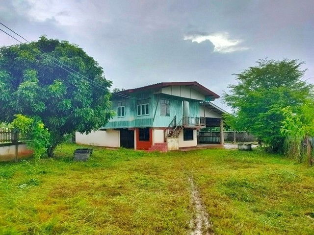 รูป F3-0388 ขายบ้านเดี่ยว ถนนสายบ้านสันผักฮี้ - บ้านป่าเหียง ต. สันกลาง อ.พาน จ.เชียงราย - รูปที่ 1/8