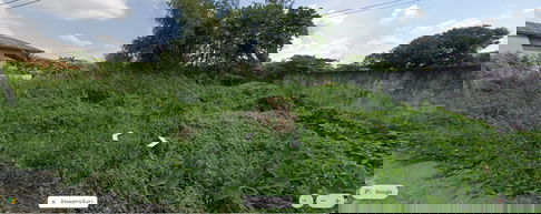 ขายที่ดิน  พุทธมณฑลสาย 2 ซอย 21/1 อยู่หลังนิ่มซีเส็ง เพียง 230 เมตรจากถนนหลัก