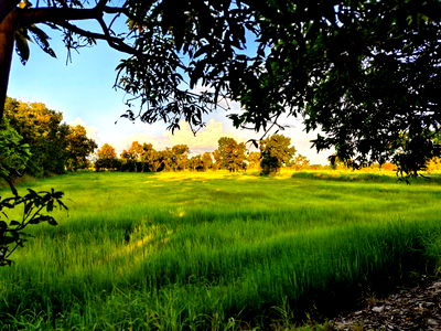 ที่ดิน เมืองชัยภูมิ ชัยภูมิ : ขายด่วนที่ดิน 18-2-84 ตร.ว. ตัวเมืองชัยภูมิ ทำเลดีเยี่ยม ลดจาก 25 เหลือ 17 ล้านบาท ลดไป 32% ถูกที่สุดในทำเลนี้