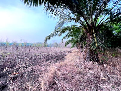 ที่ดิน กาญจนบุรี : ขายที่ดิน 9ไร่2งาน 76ตารางวา ราคา3,330,000