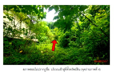 ขายที่ดิน : K00318 ขายที่ดินเปล่า ตำบลหนองทะเล อำเภอเมืองกระบี่ กระบี่