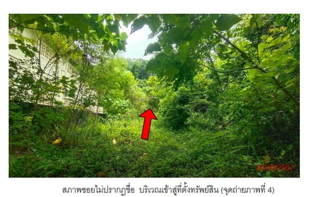 รูป K00318 ขายที่ดินเปล่า ตำบลหนองทะเล อำเภอเมืองกระบี่ กระบี่ - รูปที่ 1/8