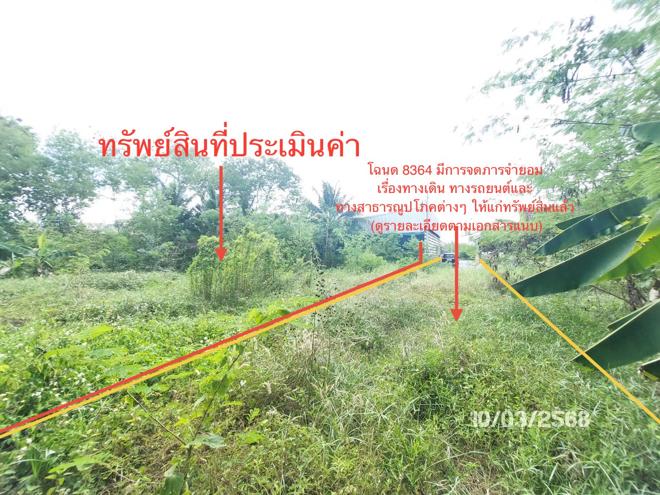 รูป บ้านเดี่ยว สำหรับขาย - วัดประดู่ เมืองสุราษฎร์ธานี สุราษฎร์ธานี - รูปที่ 11/26