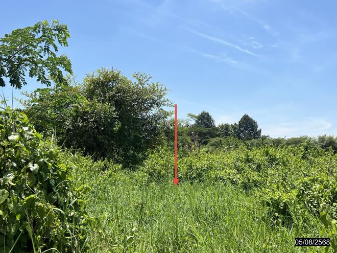 รูป ที่ดินว่างเปล่า สำหรับขาย - ศิลา เมืองขอนแก่น ขอนแก่น - รูปที่ 5/22