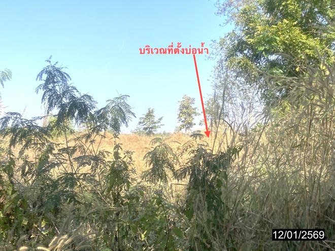 รูป บ้านเดี่ยว สำหรับขาย - หายโศก บ้านผือ อุดรธานี - รูปที่ 16/38