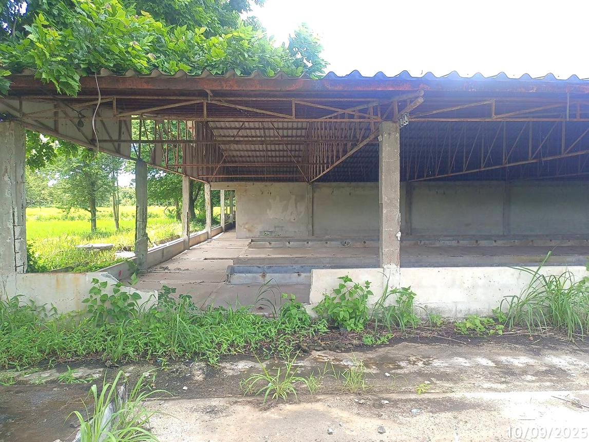 picture FACTORY for sale Pa Mong Det Udom Ubon Ratchathani - 22/38