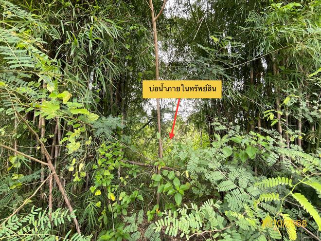 picture LAND for sale  Chom Bung Chom Bung Ratchburi - 3/16