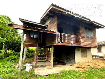 บ้านเดี่ยว ศีขรภูมิ สุรินทร์ : บ้านเดี่ยว สำหรับขาย - จารพัต ศีขรภูมิ สุรินทร์