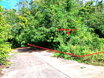 ที่ดินว่างเปล่า สำหรับขาย - แพรกหา ควนขนุน พัทลุง