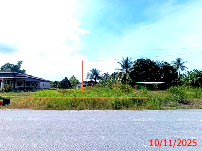 Land for sale Thepha Songkhla : LAND for sale  Tha Muang Thepha Songkhla