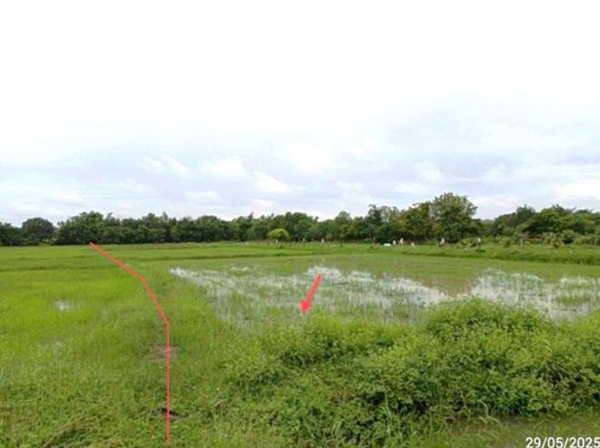 รูป ที่ดินว่างเปล่า สำหรับขาย - หนองคู ลำปลายมาศ บุรีรัมย์ - รูปที่ 3/16