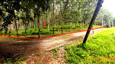 Land for sale Thalang Phuket : LAND for sale  Pa Khlok Thalang Phuket