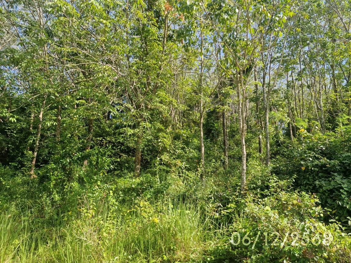 picture LAND for sale Ko Sukon Palian Trang - 10/16