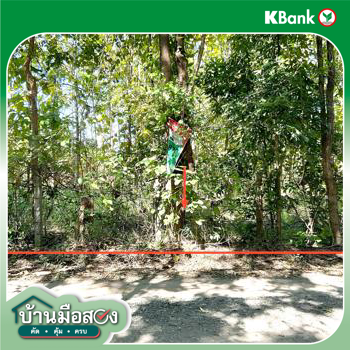 รูป ที่ดินว่างเปล่า สำหรับขาย - โนนสะอาด ชุมแพ ขอนแก่น - รูปที่ 12/14