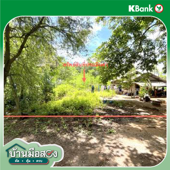 รูป ที่ดินว่างเปล่า สำหรับขาย - ขุนทะเล เมืองสุราษฎร์ธานี สุราษฎร์ธานี - รูปที่ 20/22