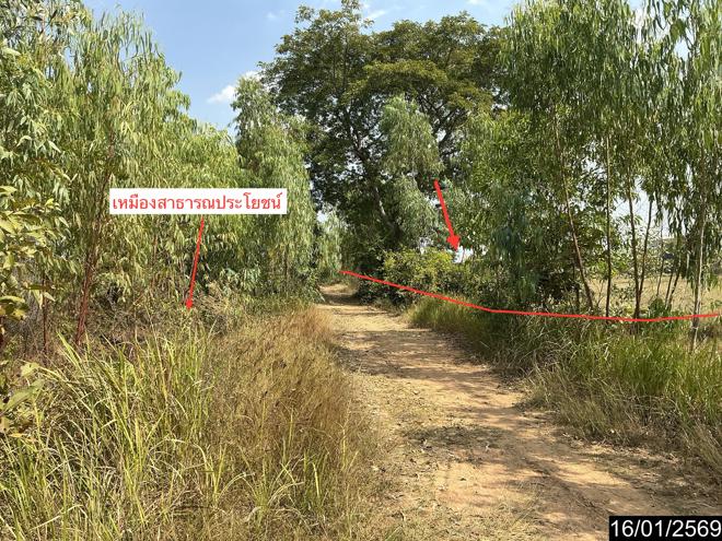 รูป ที่ดินว่างเปล่า สำหรับขาย - ประโคนชัย ประโคนชัย บุรีรัมย์ - รูปที่ 8/22