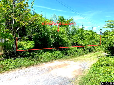 Land for sale Nakhon Sri Thammarat : LAND for sale  Tha Sak Muang Nakhon Sri Thammarat Nakhon Sri Thammarat
