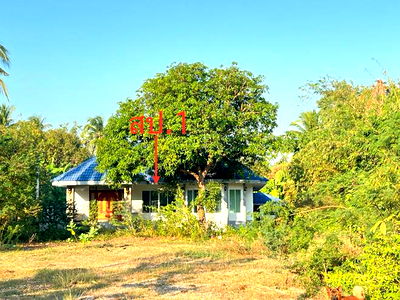 Houses for sale Ratchburi : HOME for sale  Boek Phrai Ban Pong Ratchburi