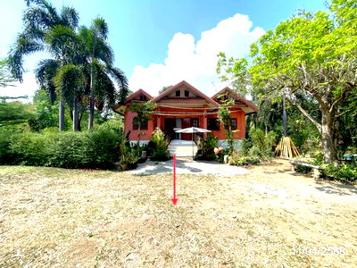 Houses for sale Phetchabun : HOME for sale  Chon Phrai Muang Phetchabun Phetchabun