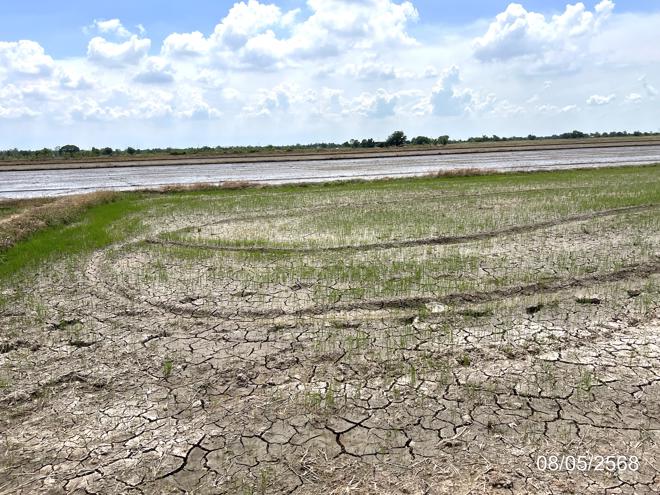 รูป ที่ดินว่างเปล่า สำหรับขาย - ดอนเกาะกา บางน้ำเปรี้ยว ฉะเชิงเทรา - รูปที่ 8/22